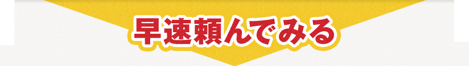 早速頼んでみる